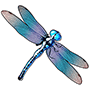 Fly